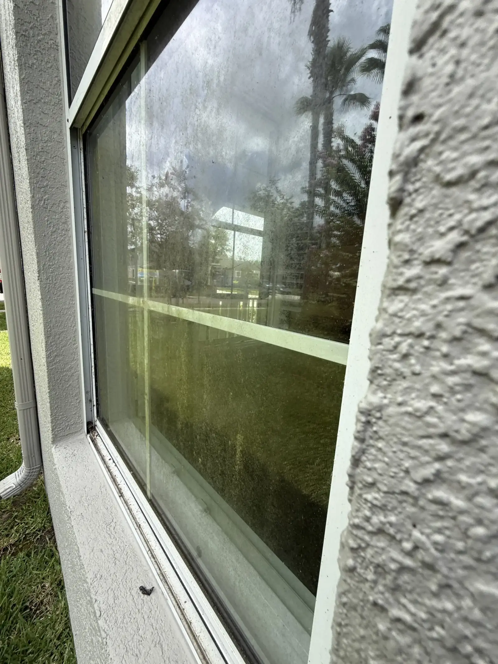 Dirty window with water spots and grime on a Tampa Bay home before window cleaning