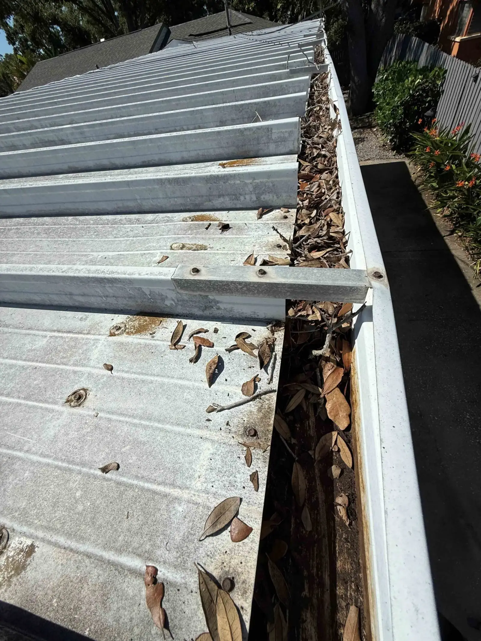 Gutter packed with leaves and debris along a metal roof before gutter cleaning