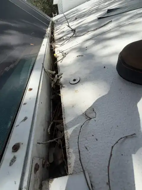 Gutter beside a pool enclosure packed with leaves, before cleaning