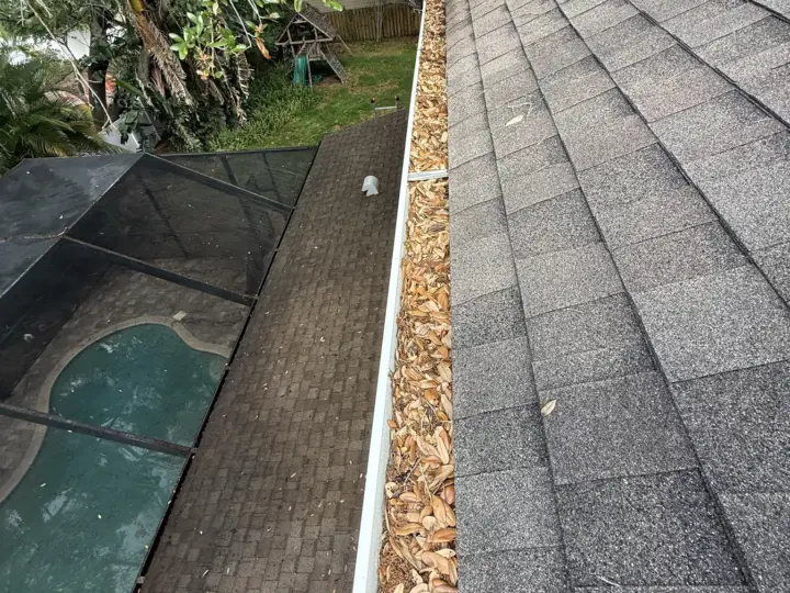Gutter full of leaves above a pool cage, before cleaning (South Tampa)