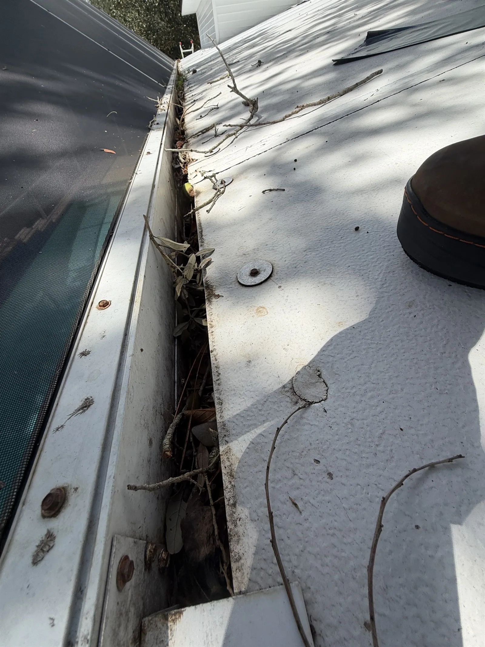 Gutter beside a pool screen enclosure packed with leaves and debris, before cleaning