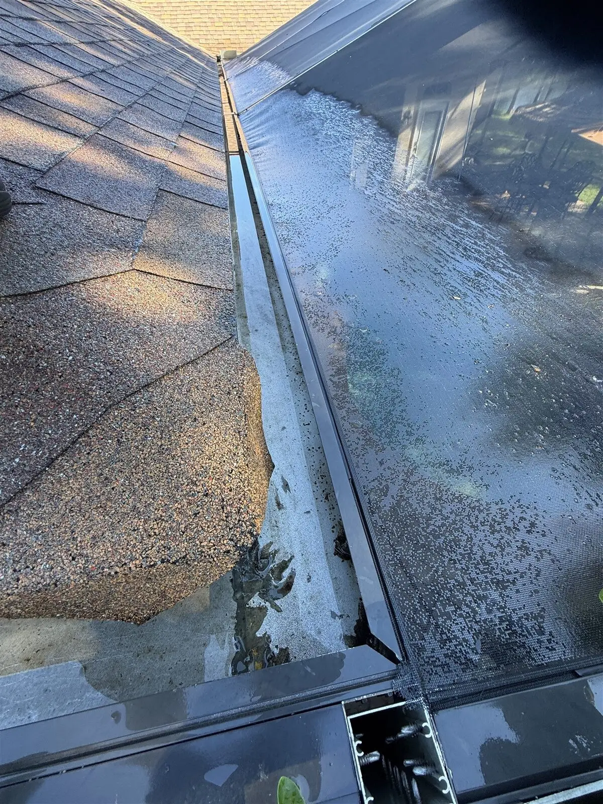 A gutter run rinsed clean above the pool cage (Safety Harbor)