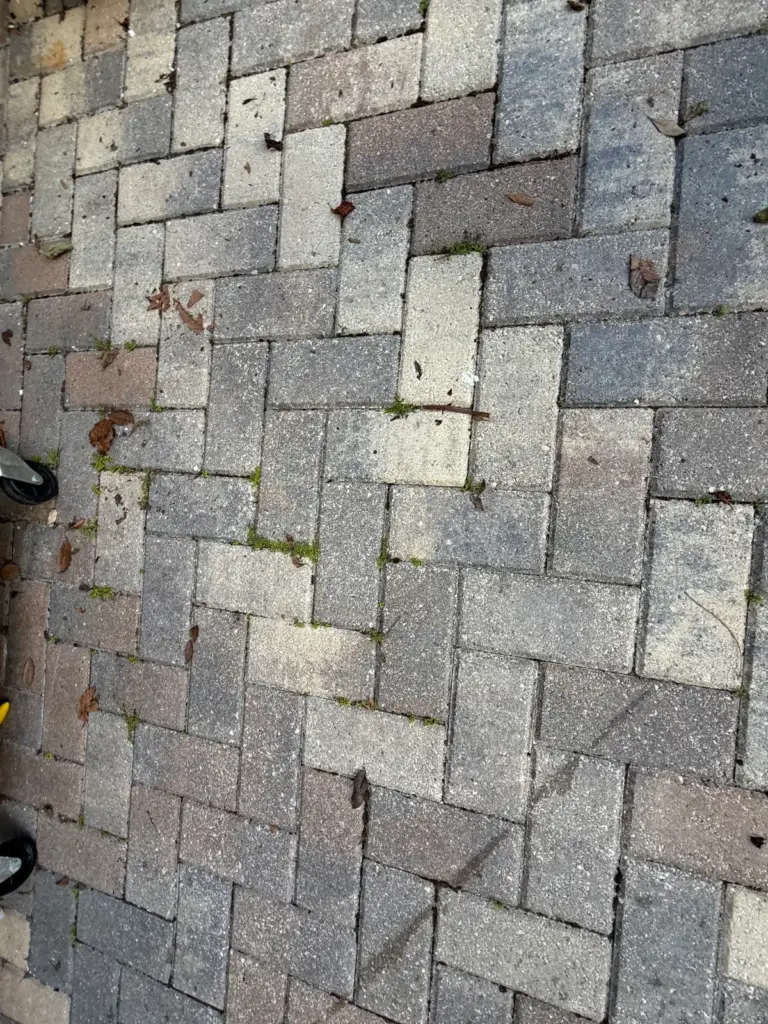 Brick paver pool deck with dark grime and stains in Oldsmar, FL, before pressure washing