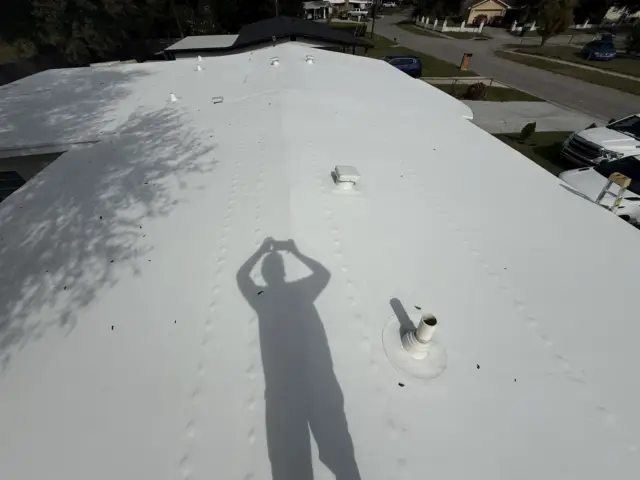 The same roof seams after the soft wash