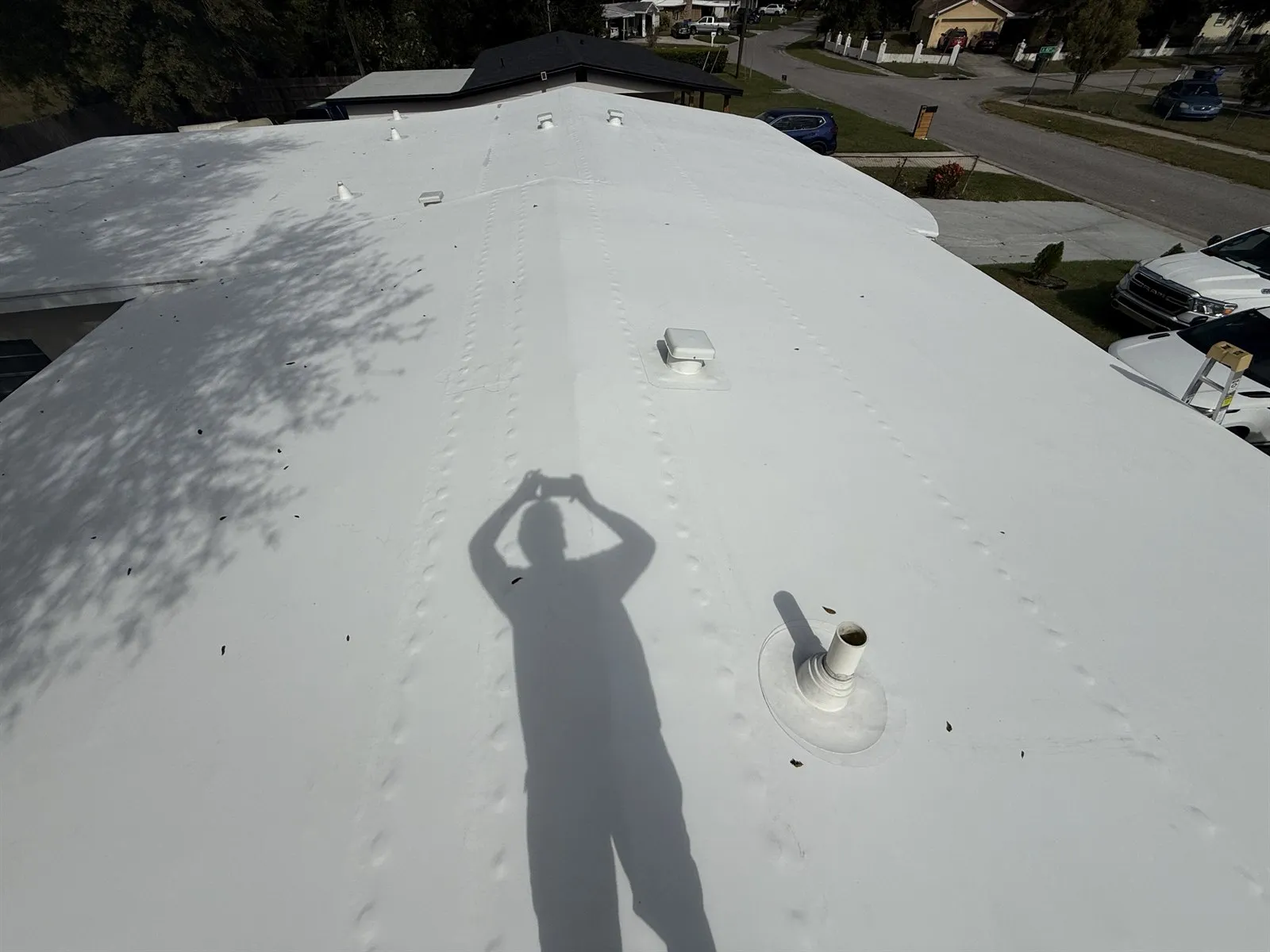 The same roof seams after the soft wash