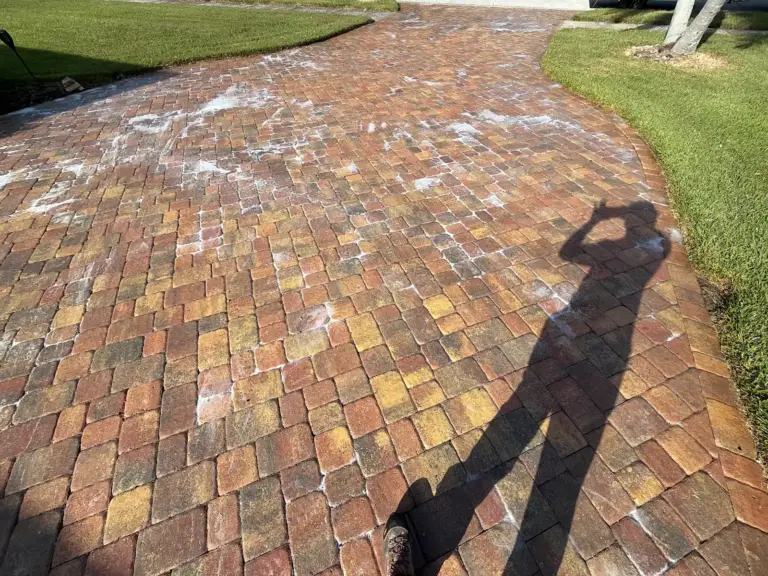 Brick pavers in Safety Harbor, FL half cleaned, showing the dirty and clean sections side by side