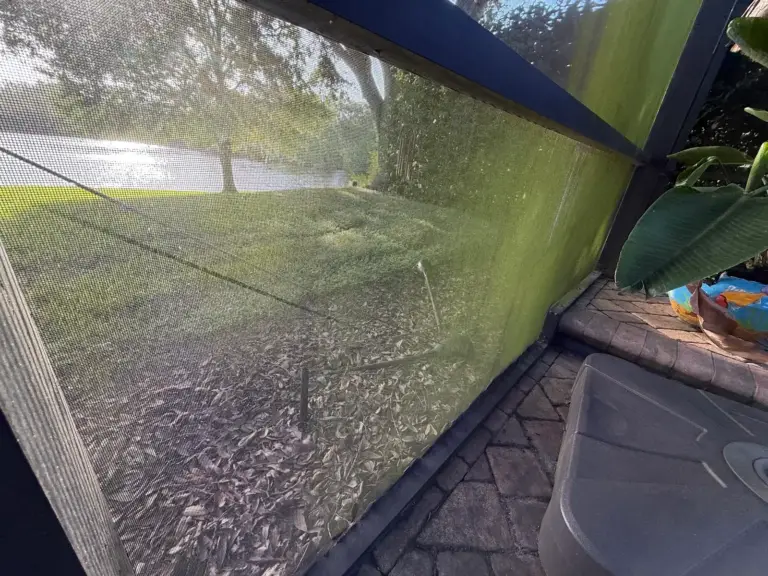 Pool cage screen panel covered in green algae in Safety Harbor, FL, before soft washing
