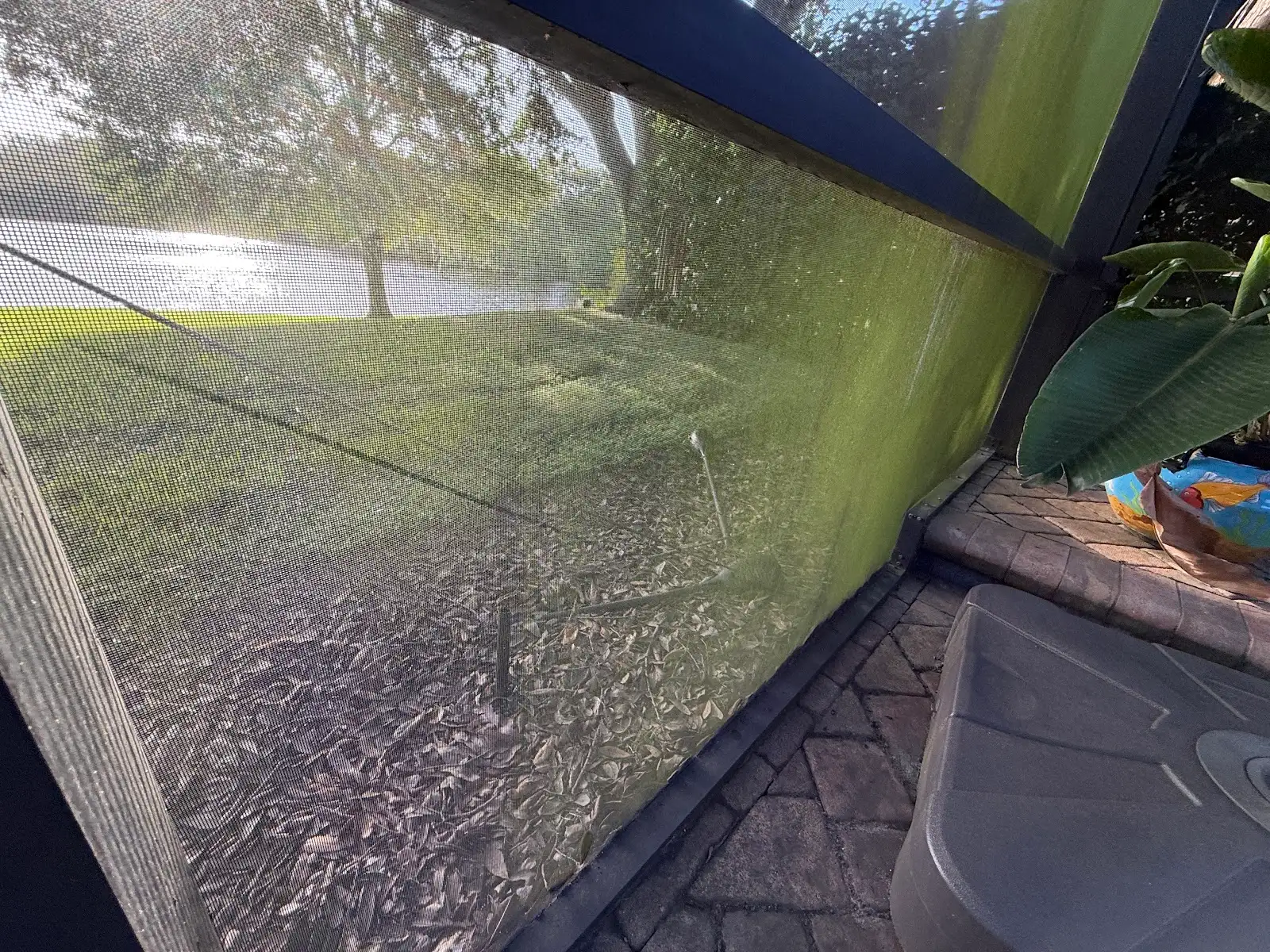 Pool cage screen panel covered in green algae in Safety Harbor, FL, before soft washing
