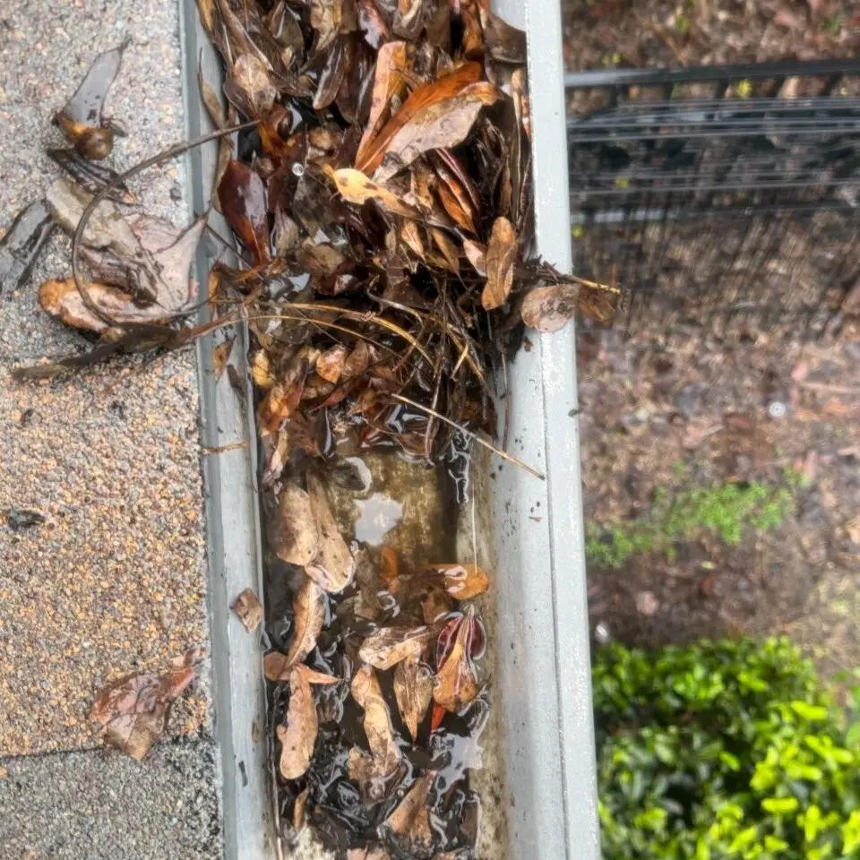 Gutter full of dry leaves along a shingle roof: dirty