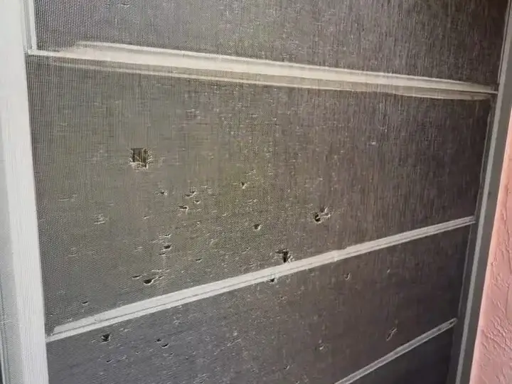 Window screens with holes in New Port Richey, before re-screening