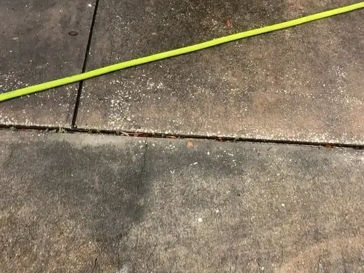Front walkway with dark algae stains before pressure washing, St. Petersburg