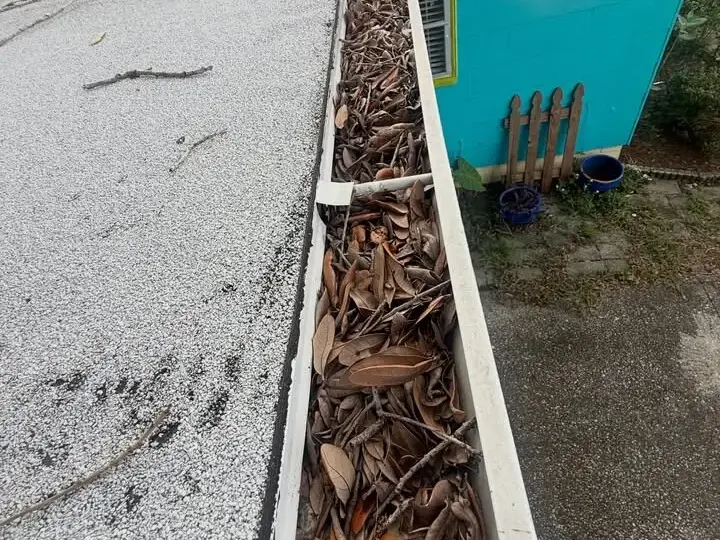 Gutter packed with oak leaves along a low-slope roof in St. Petersburg, before cleaning