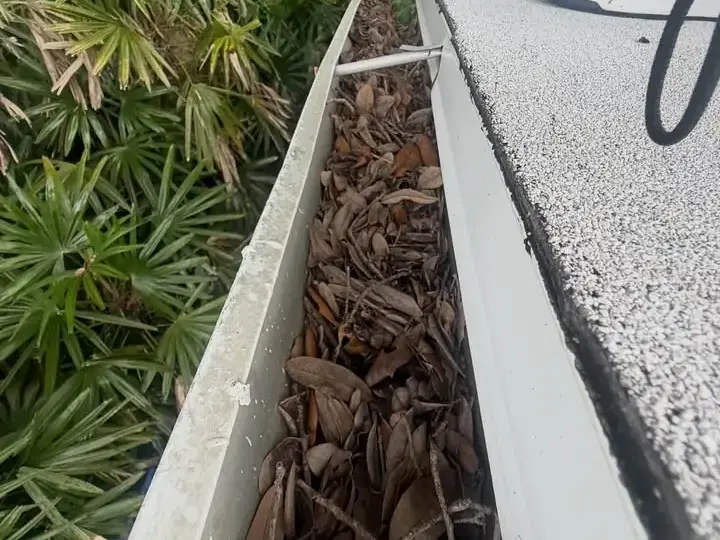 Clogged gutter full of leaves and twigs on a St. Petersburg home