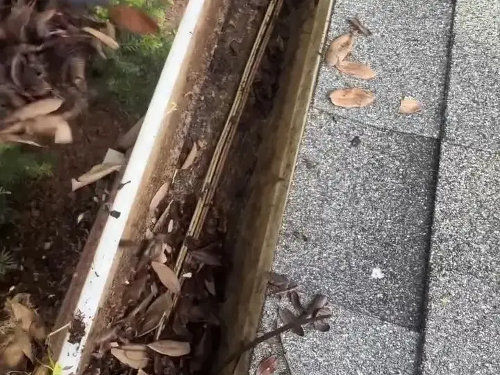 Gutter run being cleared on a shingle roof in Wesley Chapel