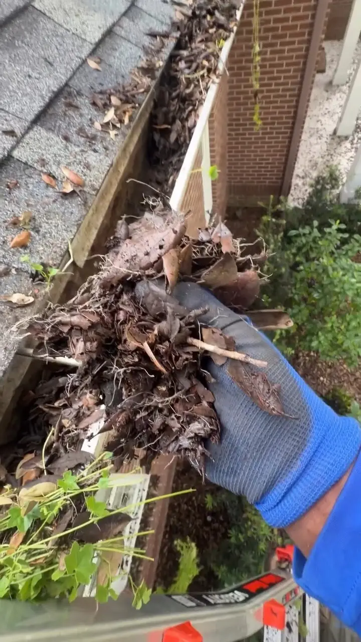 Pulling packed leaves and roots out of a gutter by hand in Wesley Chapel