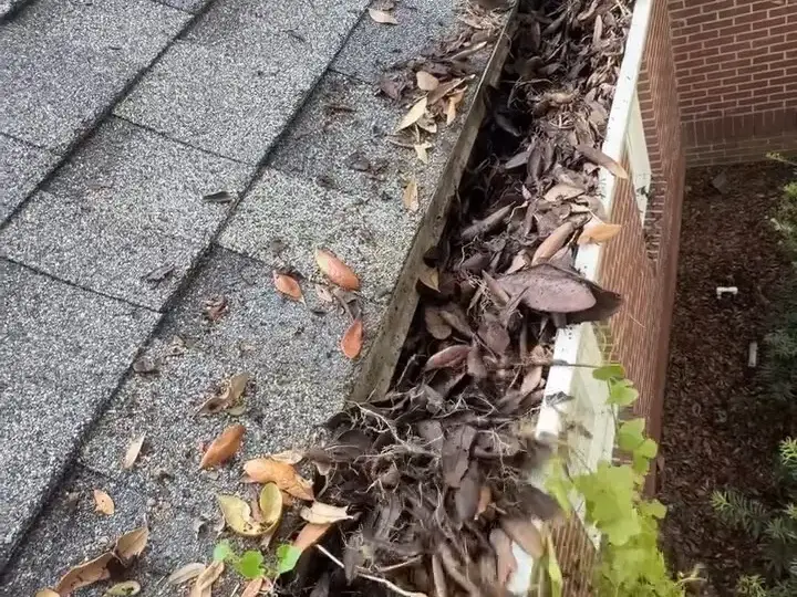 Gutter packed with leaves on a two-story home in Wesley Chapel