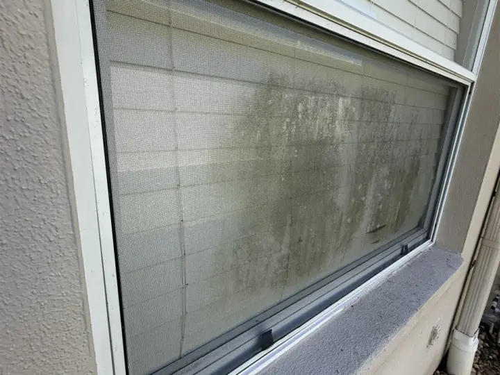 A window with a heavy film of dirt and water spots, before cleaning (Safety Harbor)